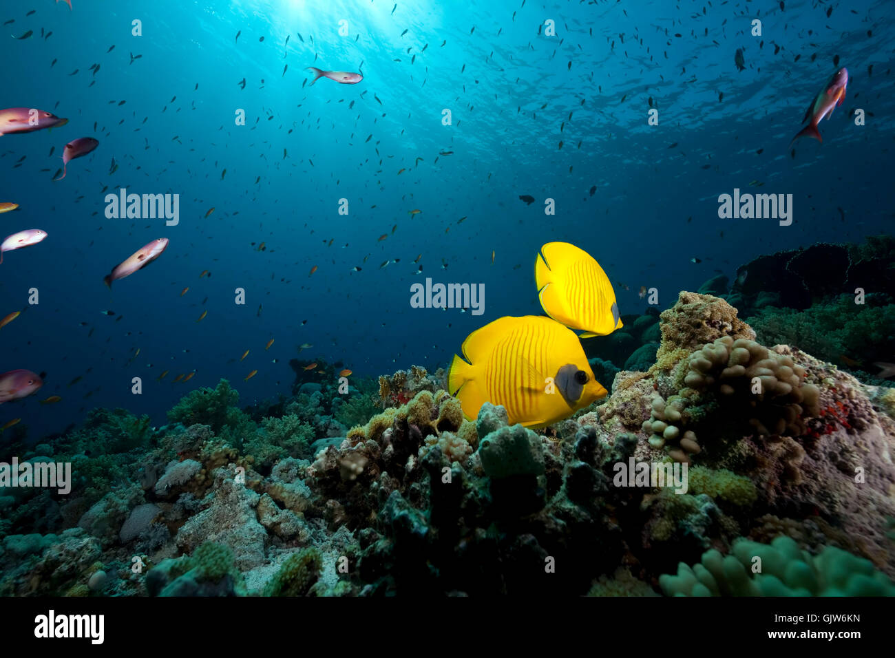 blue shine shines Stock Photo - Alamy