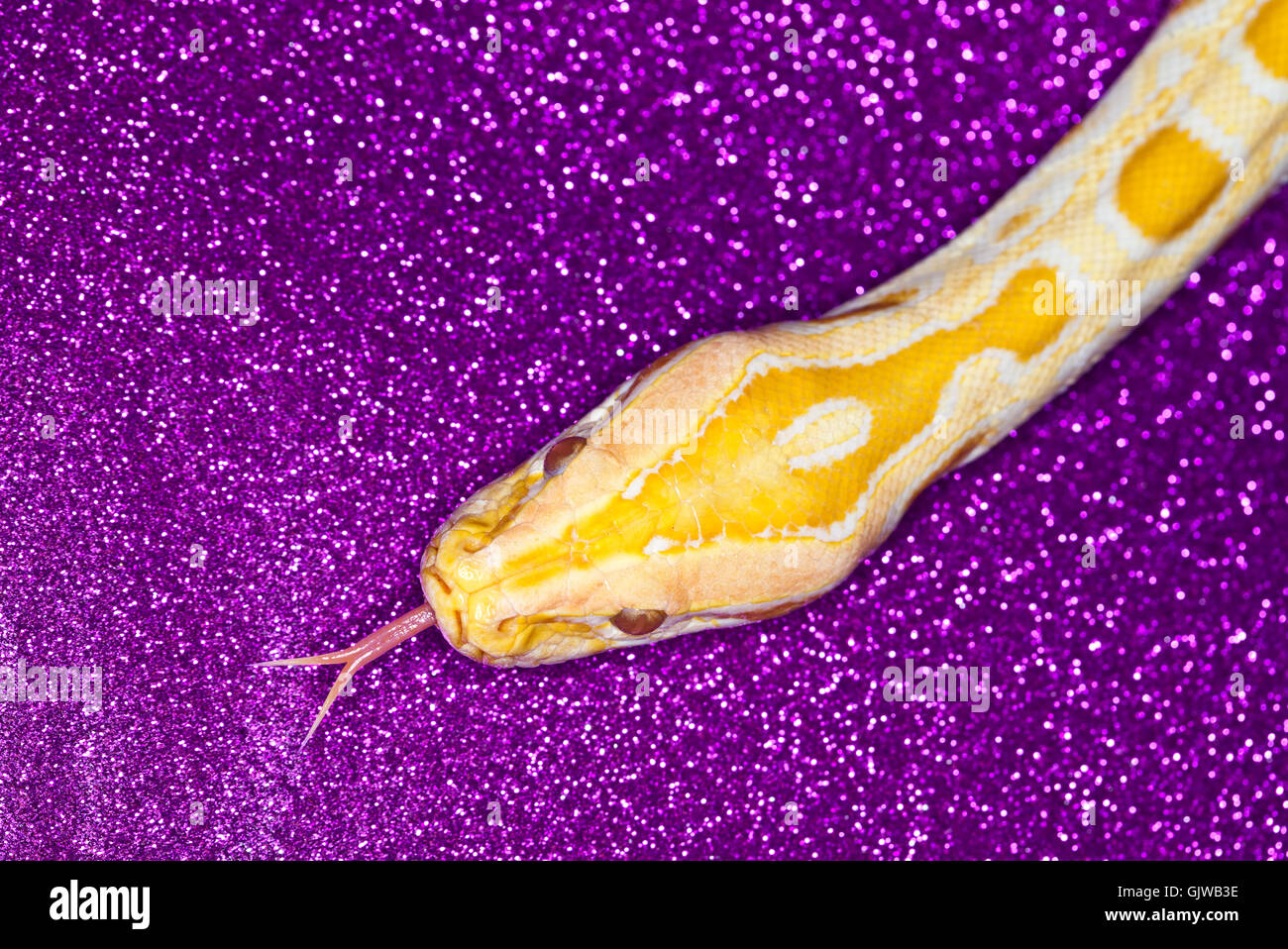 fear fear patterned Stock Photo