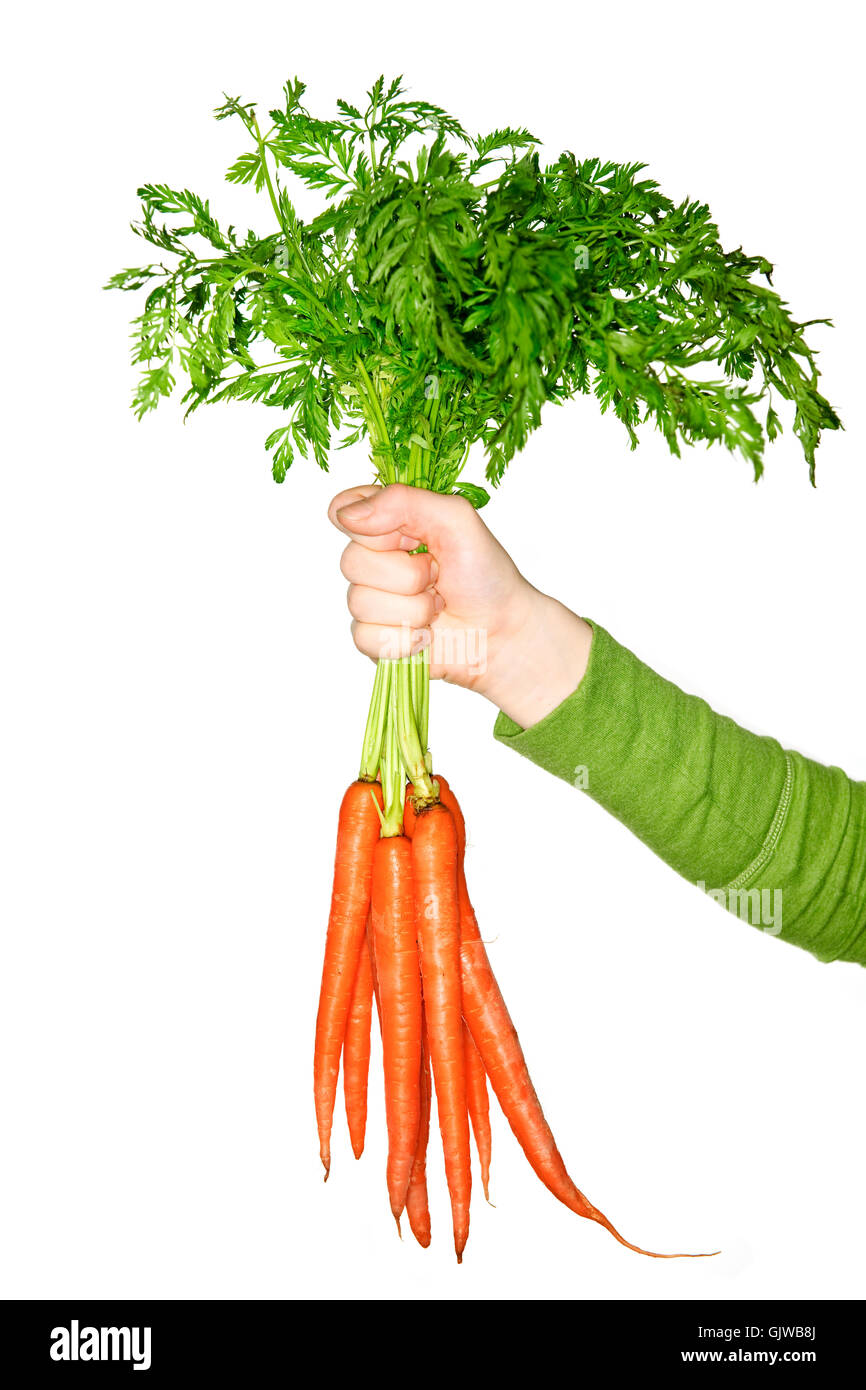 hand carrots possession Stock Photo