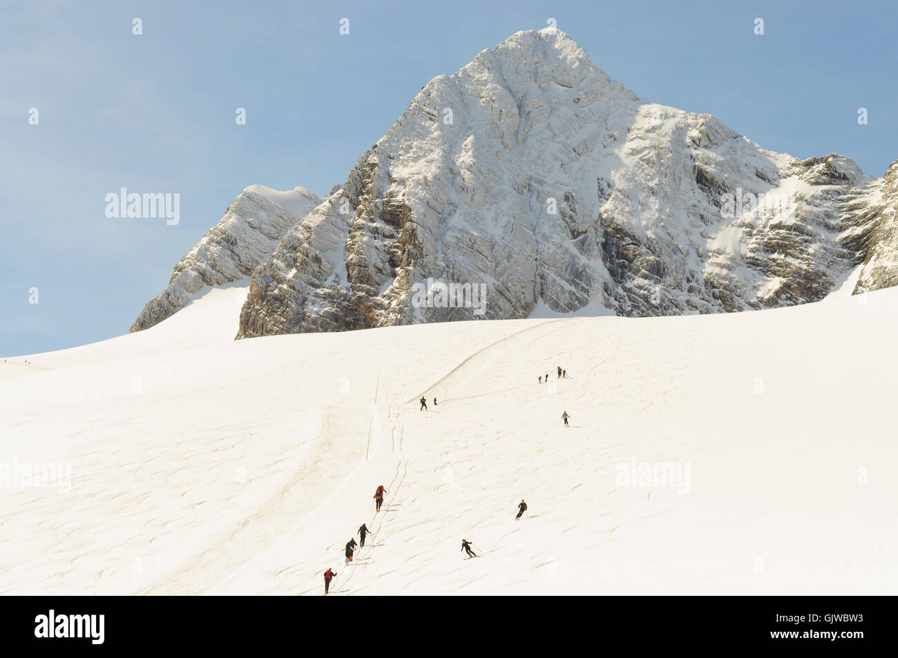 Nationalpark Dachstein: ski tourers on Hallstätt glacier in front of Hoher Dachstein, Austria, Oberösterreich, Upper Austria, Stock Photo