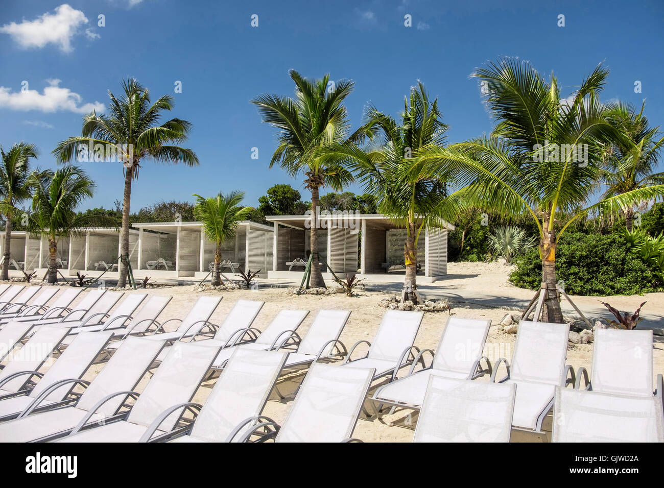 Sun loungers at a tropical beach resort in the bahamas Stock Photo