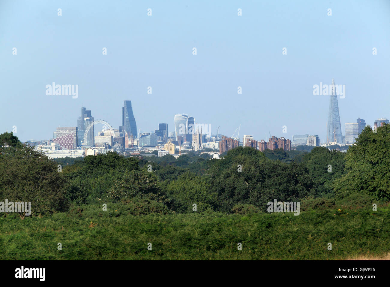 Skyline of London taken from Richmond Park on a beautiful clear august day Stock Photo