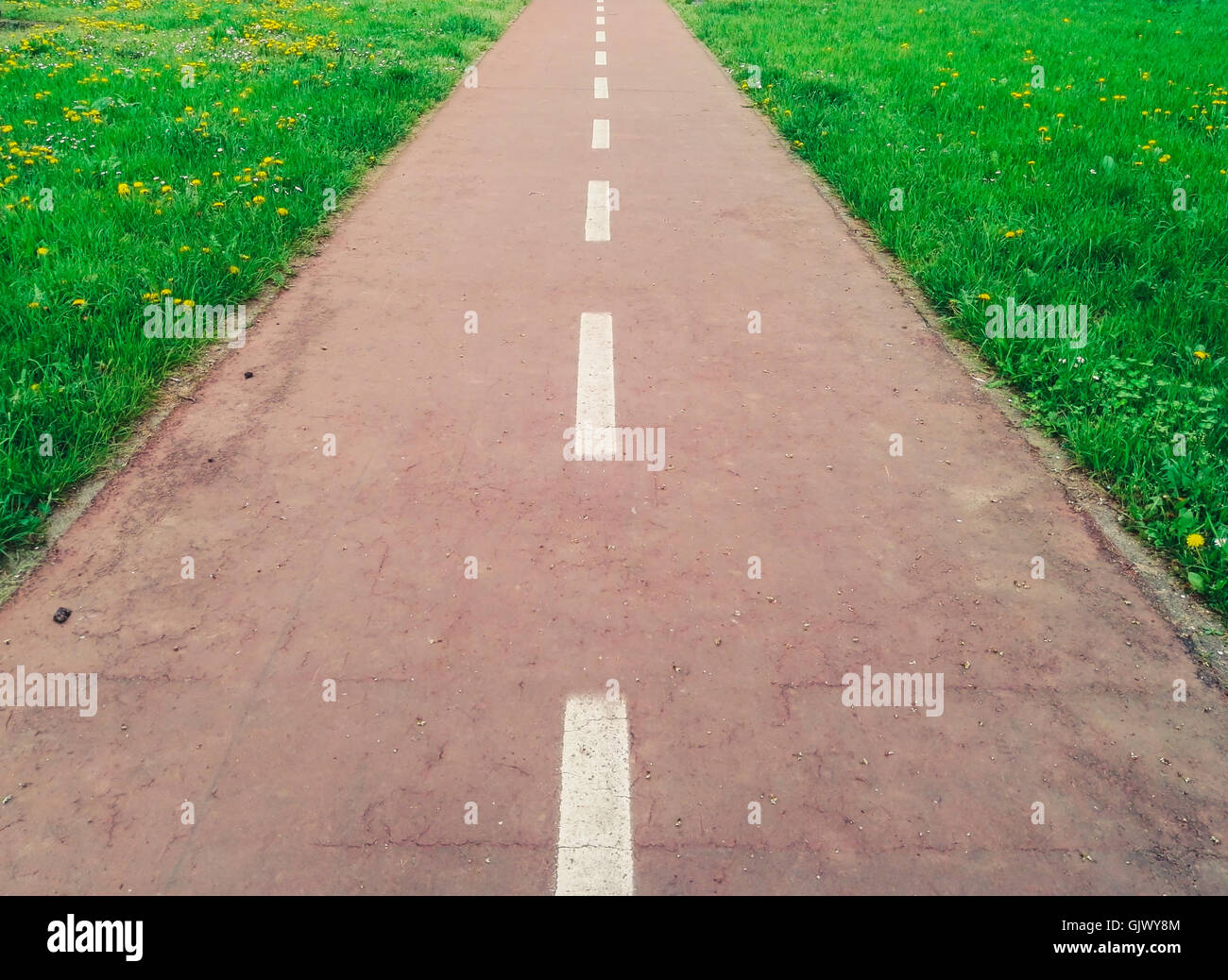 Bicycle path and green grass Stock Photo