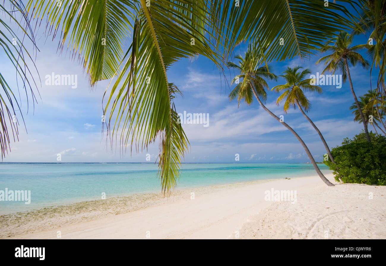 Tropical dream holidays hi-res stock photography and images - Alamy