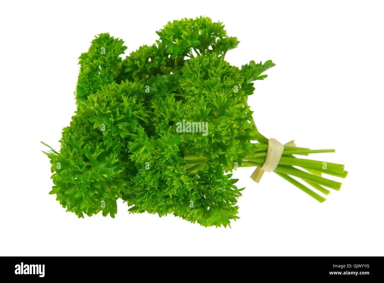 flavour aromatic parsley Stock Photo Alamy
