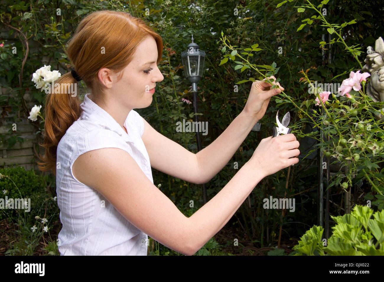 young woman working in the garden Stock Photo