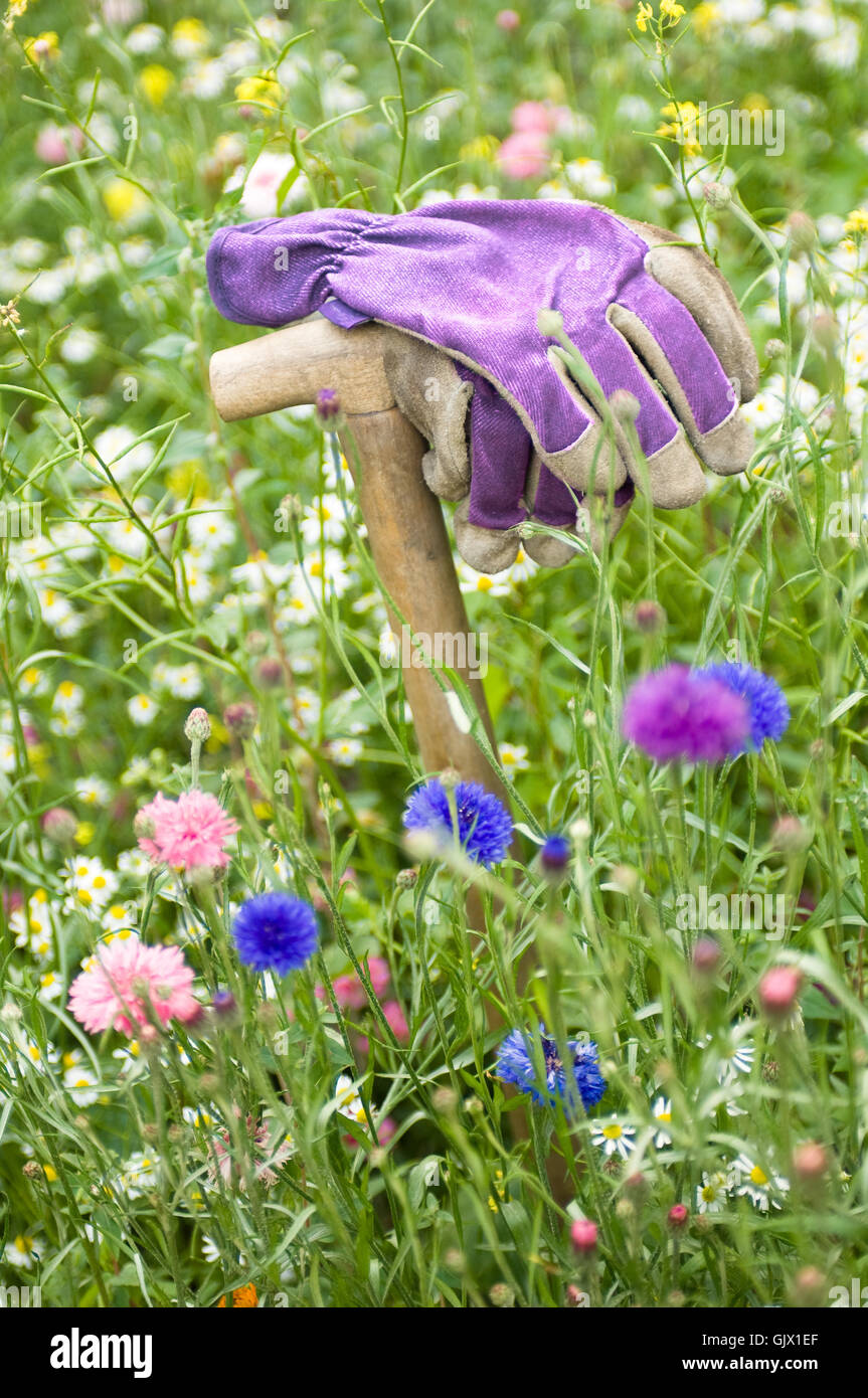 work gloves in garden meadow Stock Photo