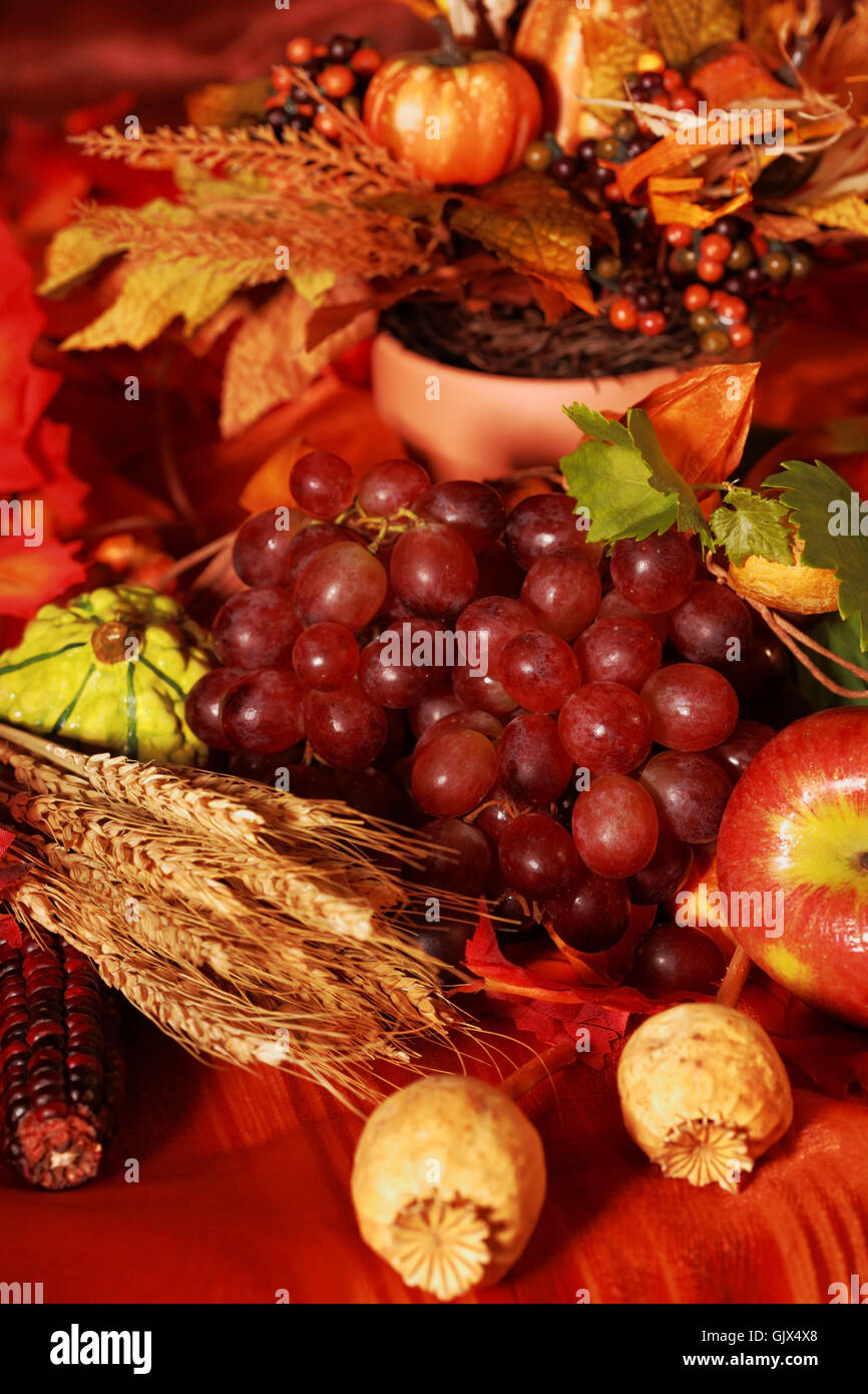 food aliment harvest Stock Photo