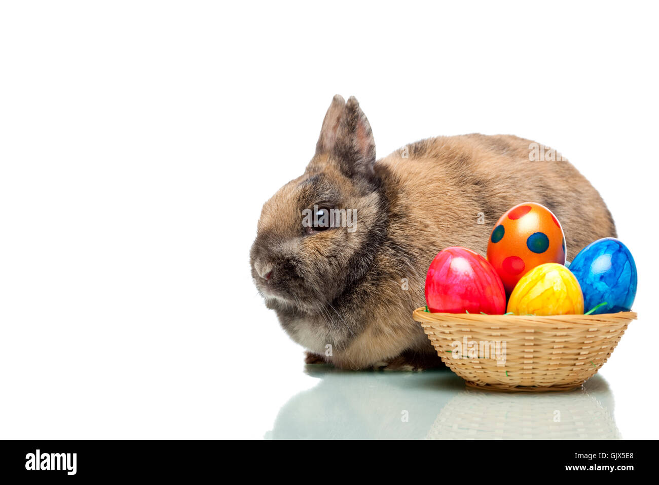 easter bunny next to basket with easter eggs Stock Photo - Alamy