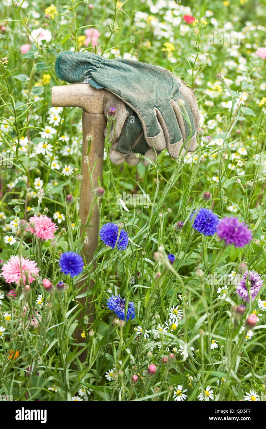 work gloves in garden meadow Stock Photo