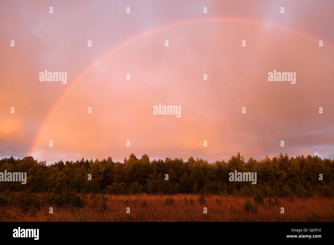Rainbow, Stormy Weather, Evening Sun. Pärnu county. 10th August 2016. Estonia Stock Photo