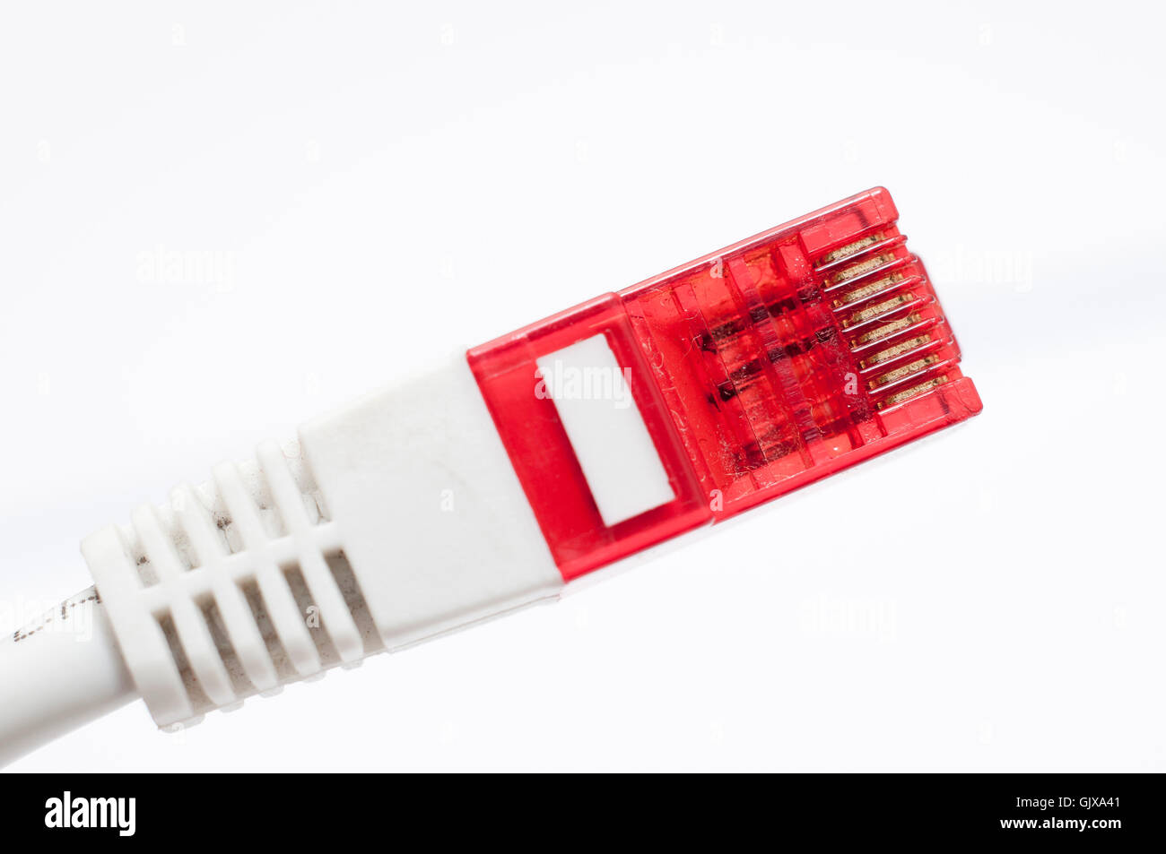 Computer Network Cable Stock Photo - Alamy