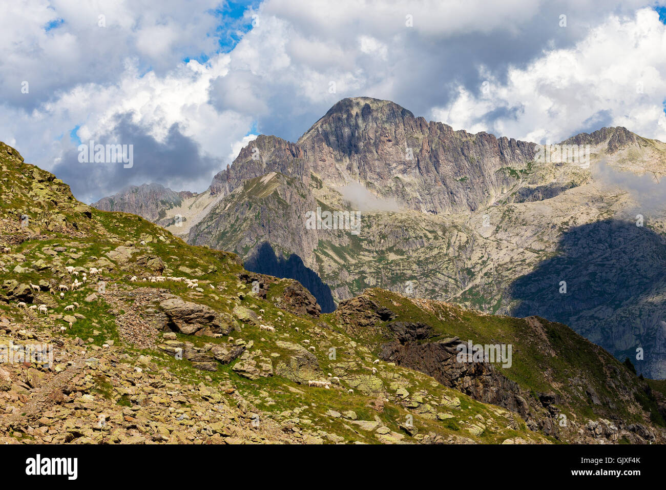Rocks of Lagorai porphyry group. Behind Cima d'Asta mountain peak. Trentino. Italy. Europe. Stock Photo