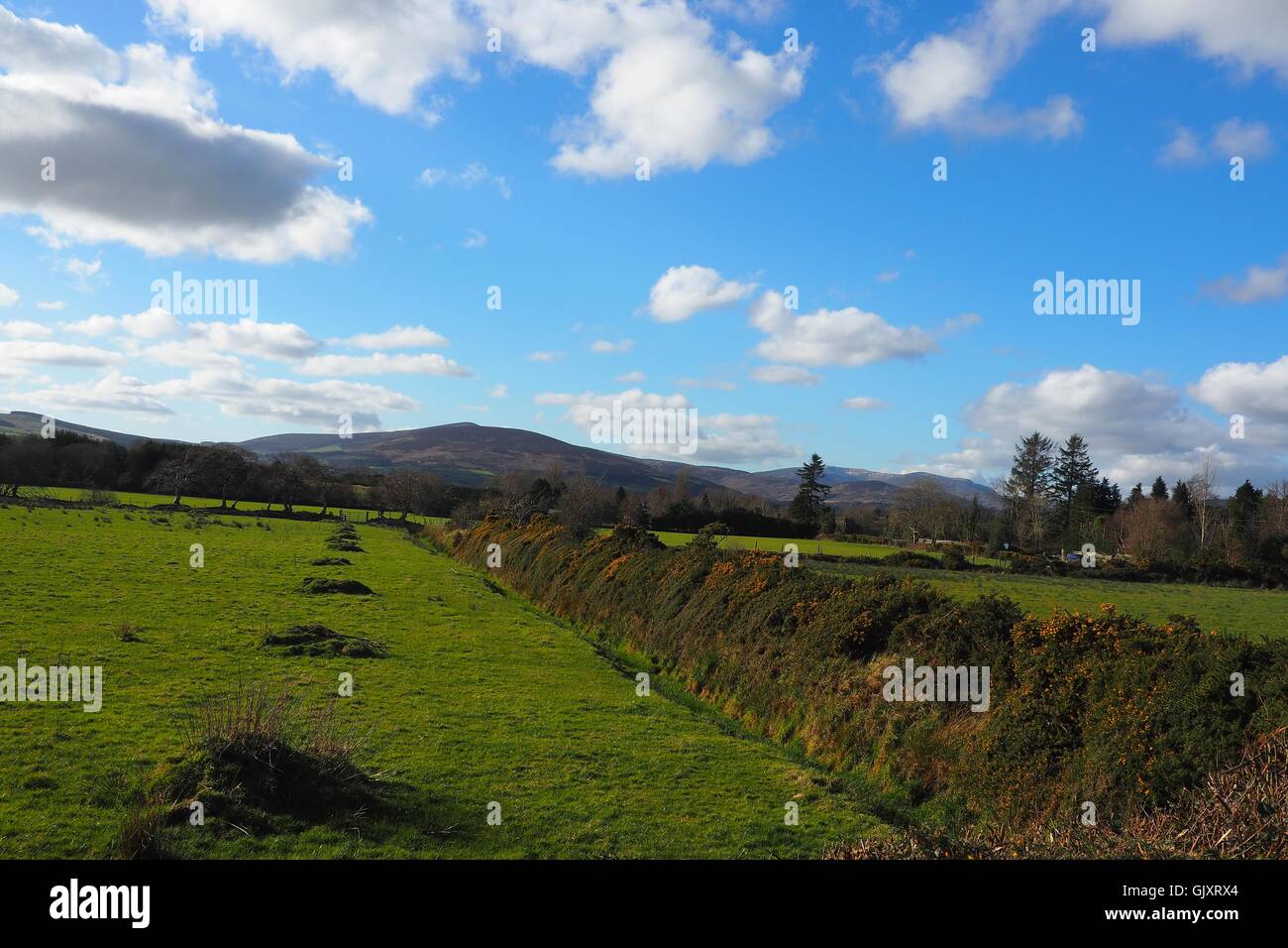 looking towards glenmalure from rathdrum co. wicklow Stock Photo