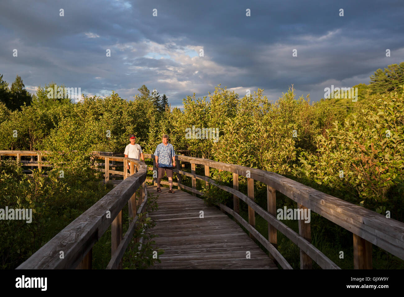 Wetmore, Michigan A boardwalk trail through Cox Pond in Michigan's