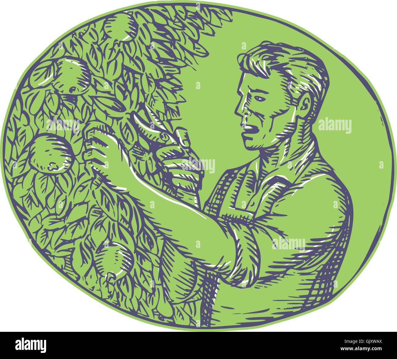 Etching tree Stock Vector Images Alamy