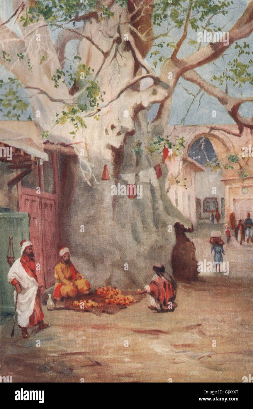 'Great Plantain in the Bazaar, Damascus' by Margaret Thomas. Syria, print 1908 Stock Photo