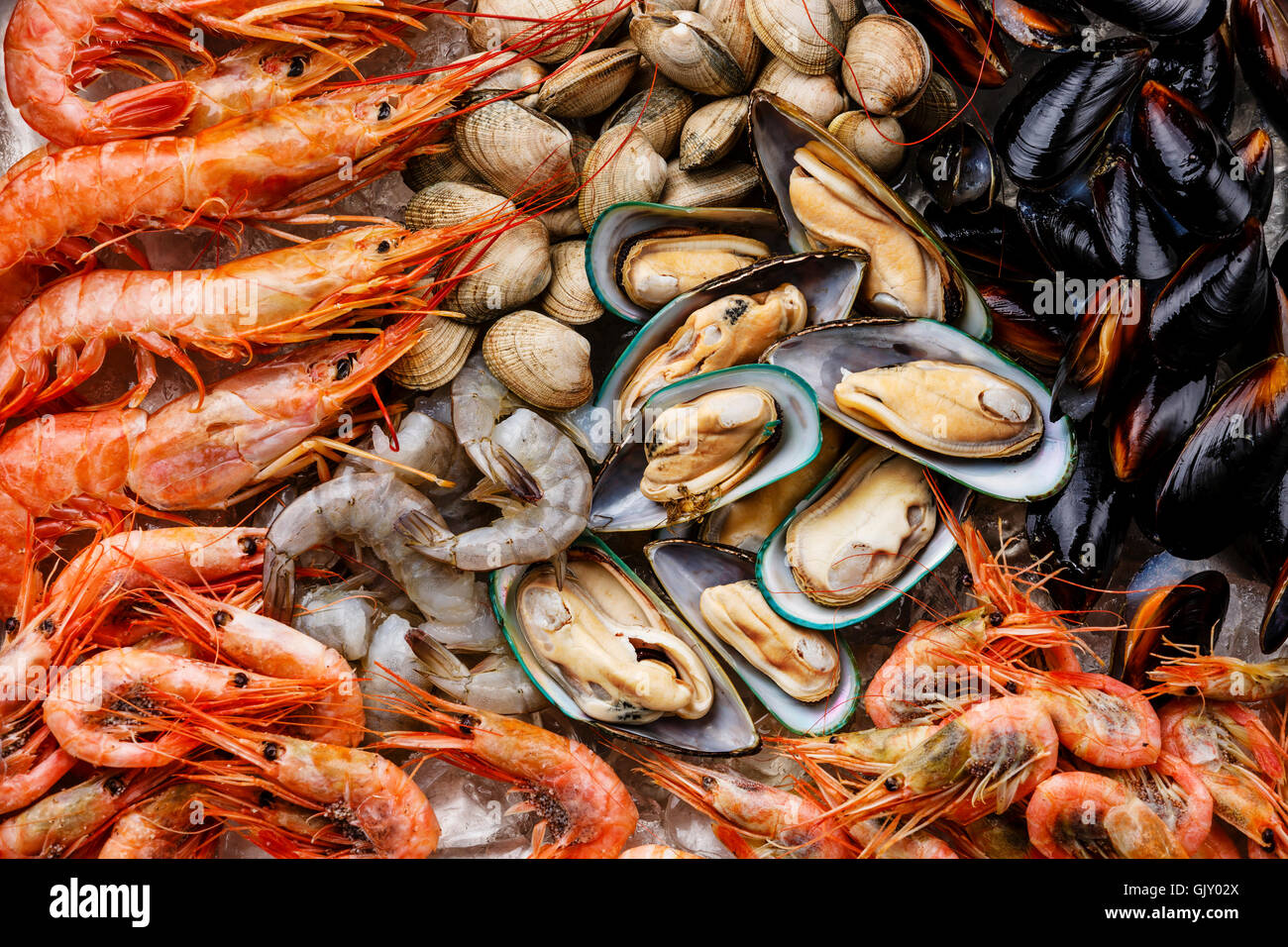 Raw fresh Seafood Cocktail close up with Mussels, Clams, Vongole