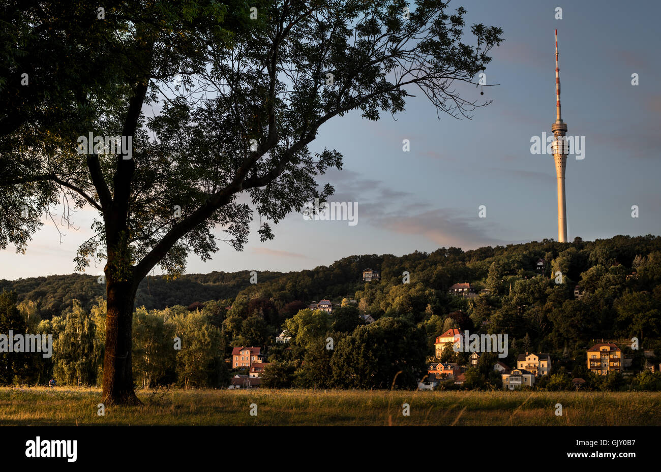 Elbe river bank view onto the 'Fernsehturm', Dresden, Saxony, Germany (Dresden TV Tower Elbe panorama). 2016 Stock Photo