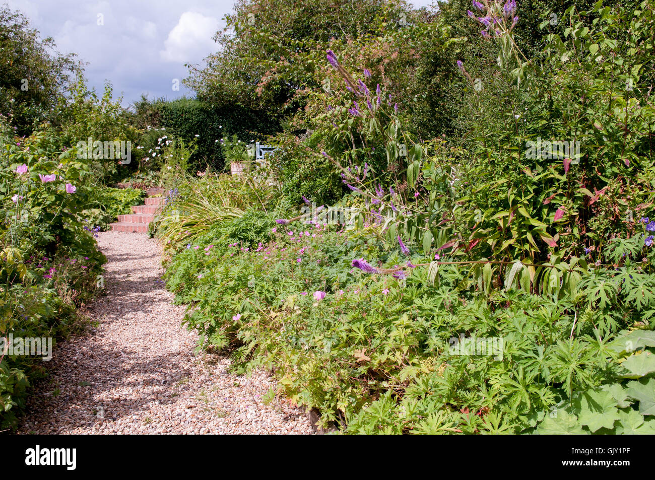 Formal garden flower bed Stock Photo - Alamy