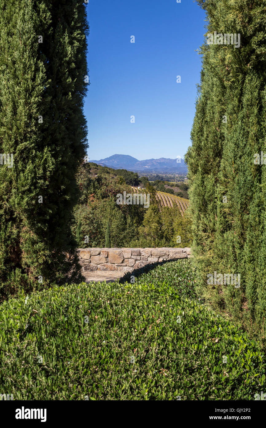 garden, gardening, garden landscape, Mount Saint Helena, background, view from Paradise Hills, Blankiet Estate, Yountville, Napa Valley, California Stock Photo