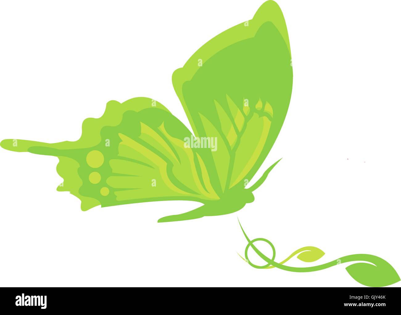 Butterfly lime Stock Vector