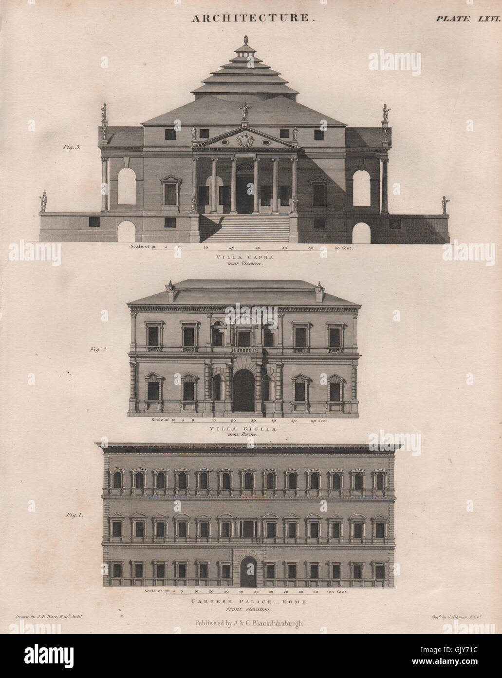 Architecture. Farnese Palace, Rome. Villa Giulia. Villa Capra, Vicenza, 1860 Stock Photo