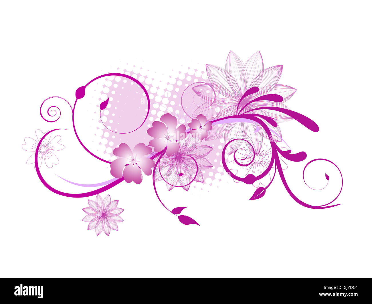 flower plant summer Stock Photo - Alamy