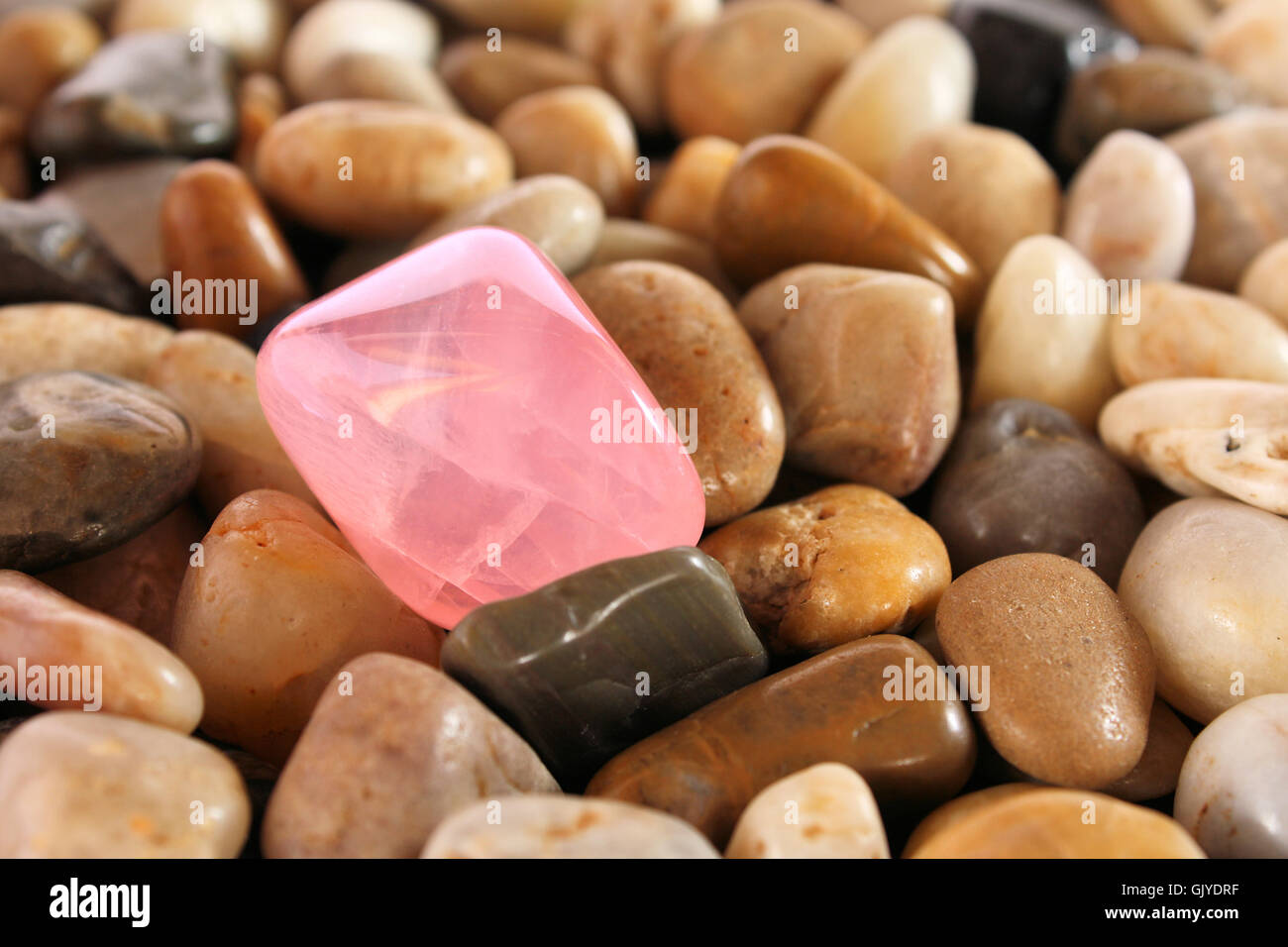 rose quartz on pebbles Stock Photo
