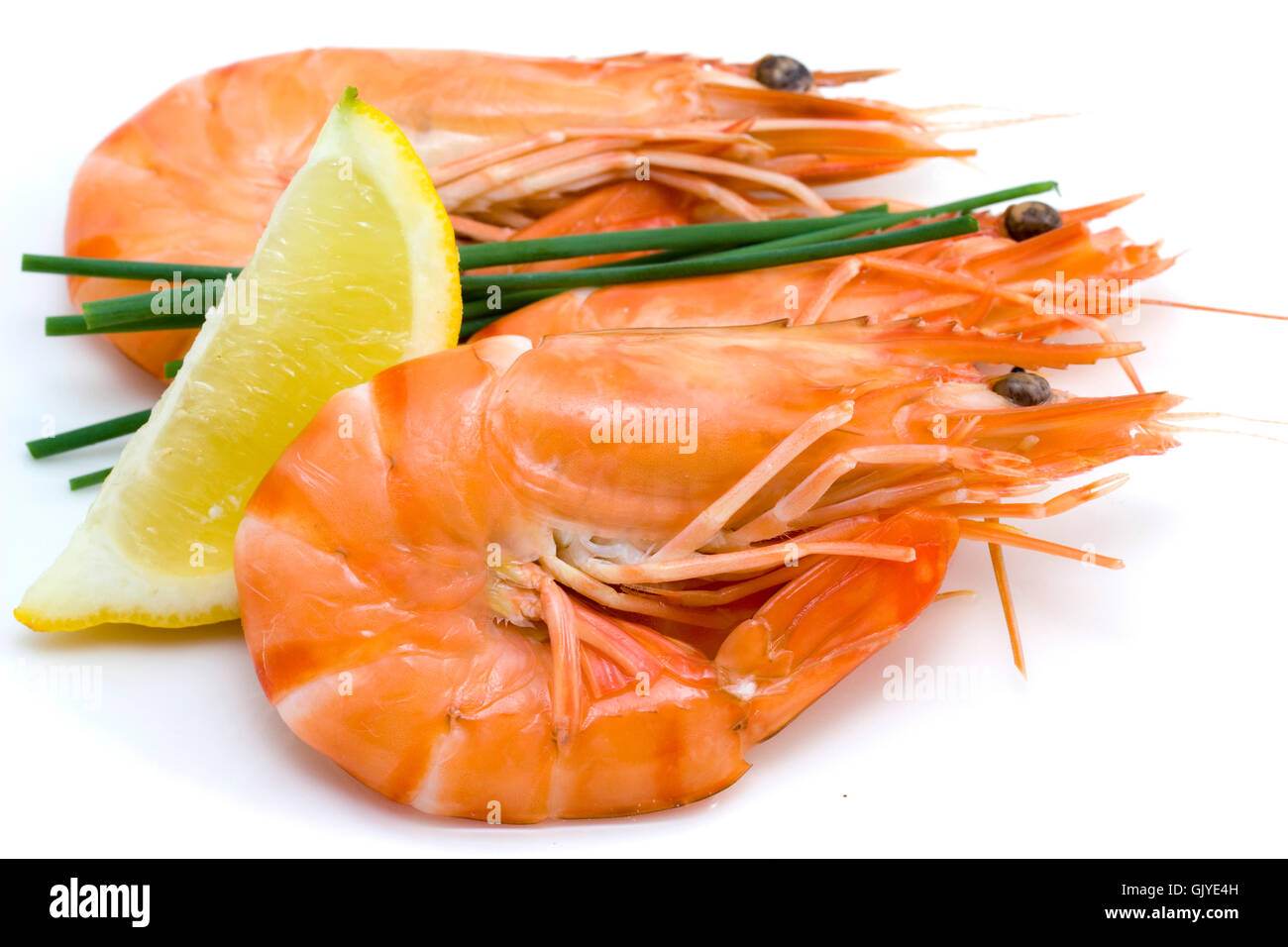 seafood shrimps crustacean Stock Photo