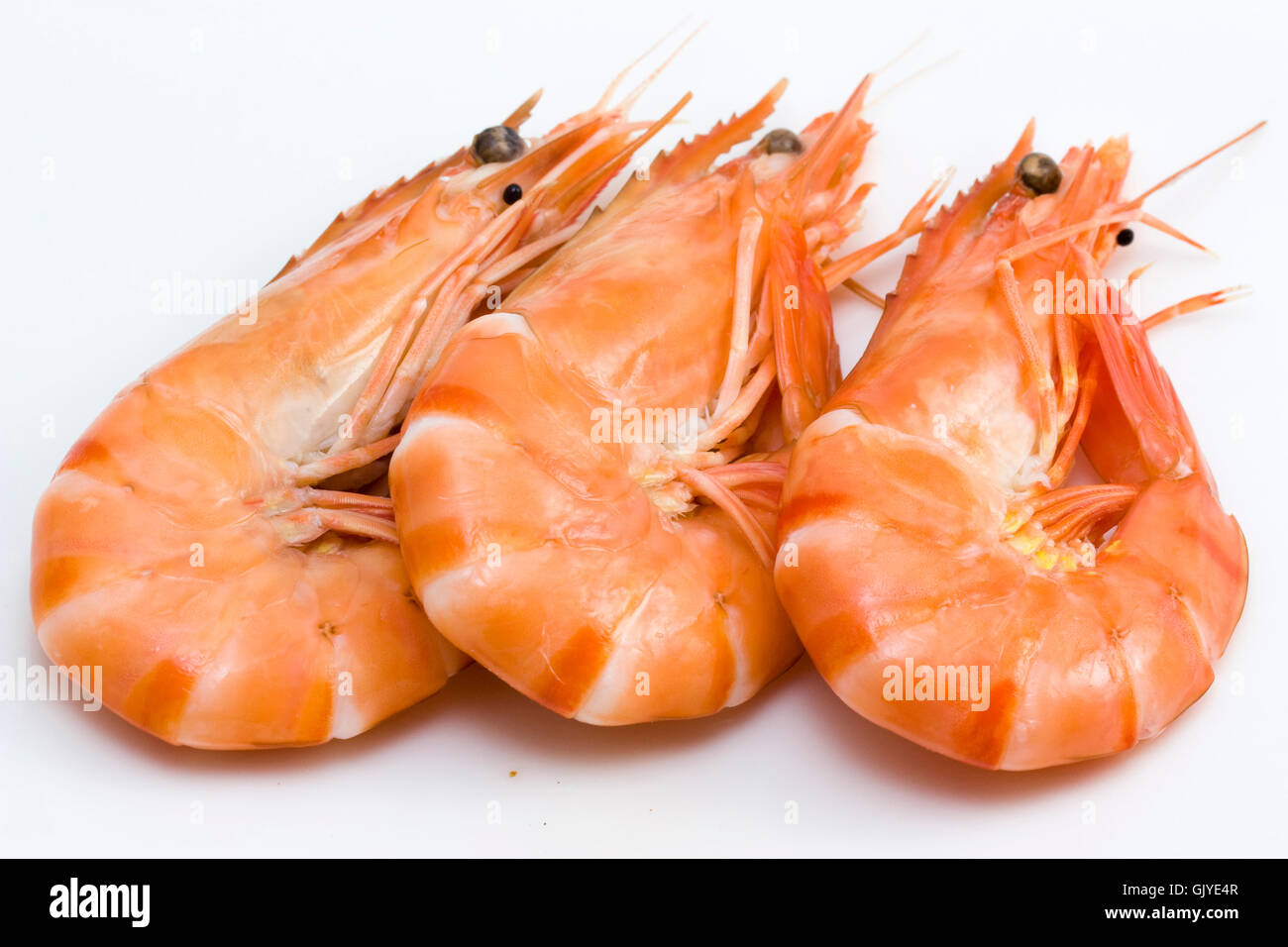 seafood shrimps crustacean Stock Photo