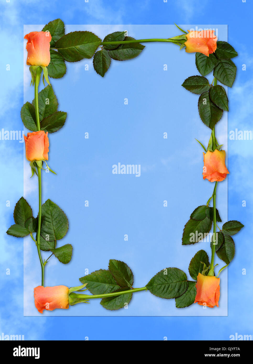 Card Frame With Roses roses card frame Stock Photo - Alamy