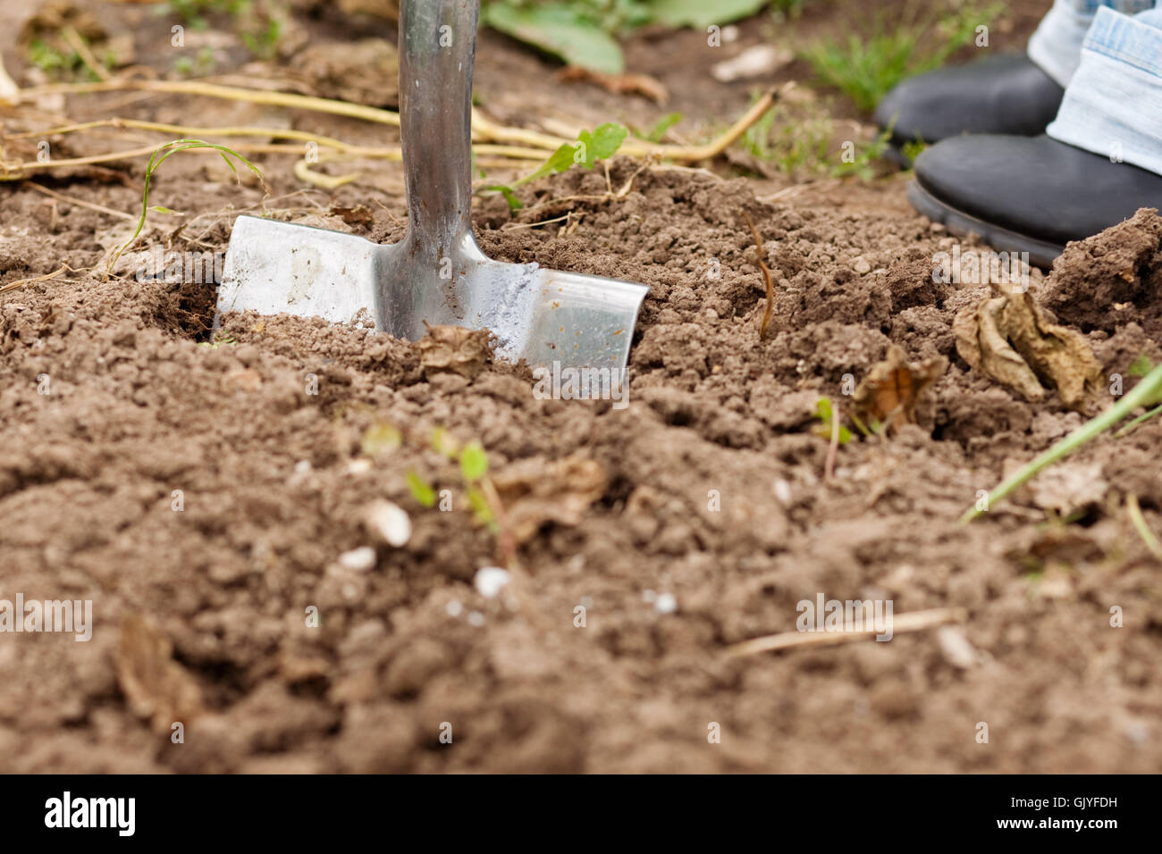 garden ground soil Stock Photo Alamy