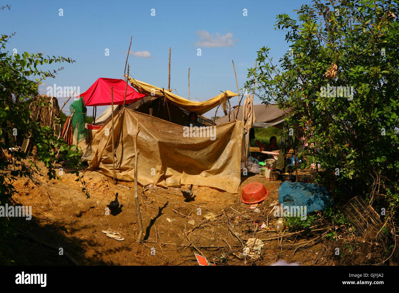 a-shack-made-of-plastic-cardboard-and-stick-where-lives-a-poor-cambodian-GJYJA2.jpg