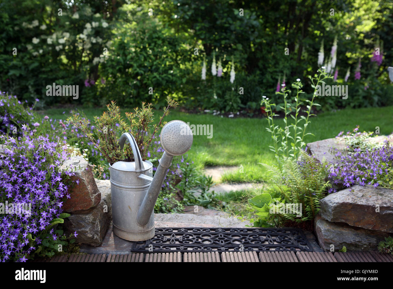 zinc watering can in the garden Stock Photo