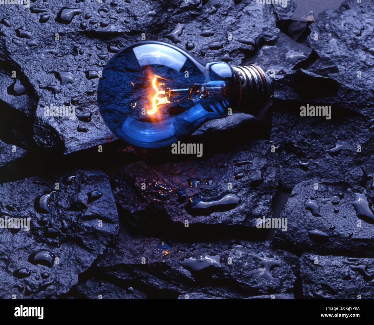 Bulb on the rocks Stock Photo - Alamy