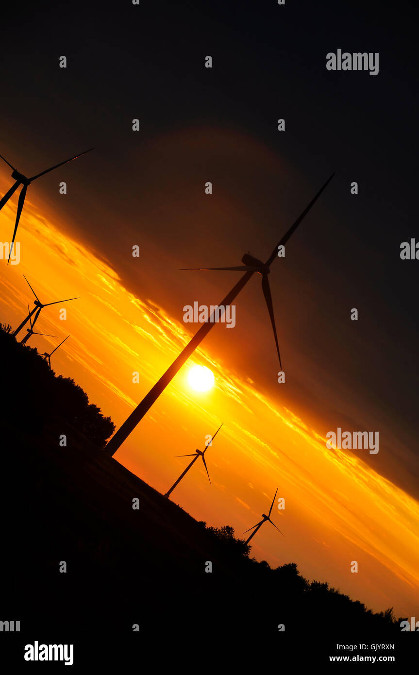 Wind turbines during beautiful sunset Stock Photo - Alamy