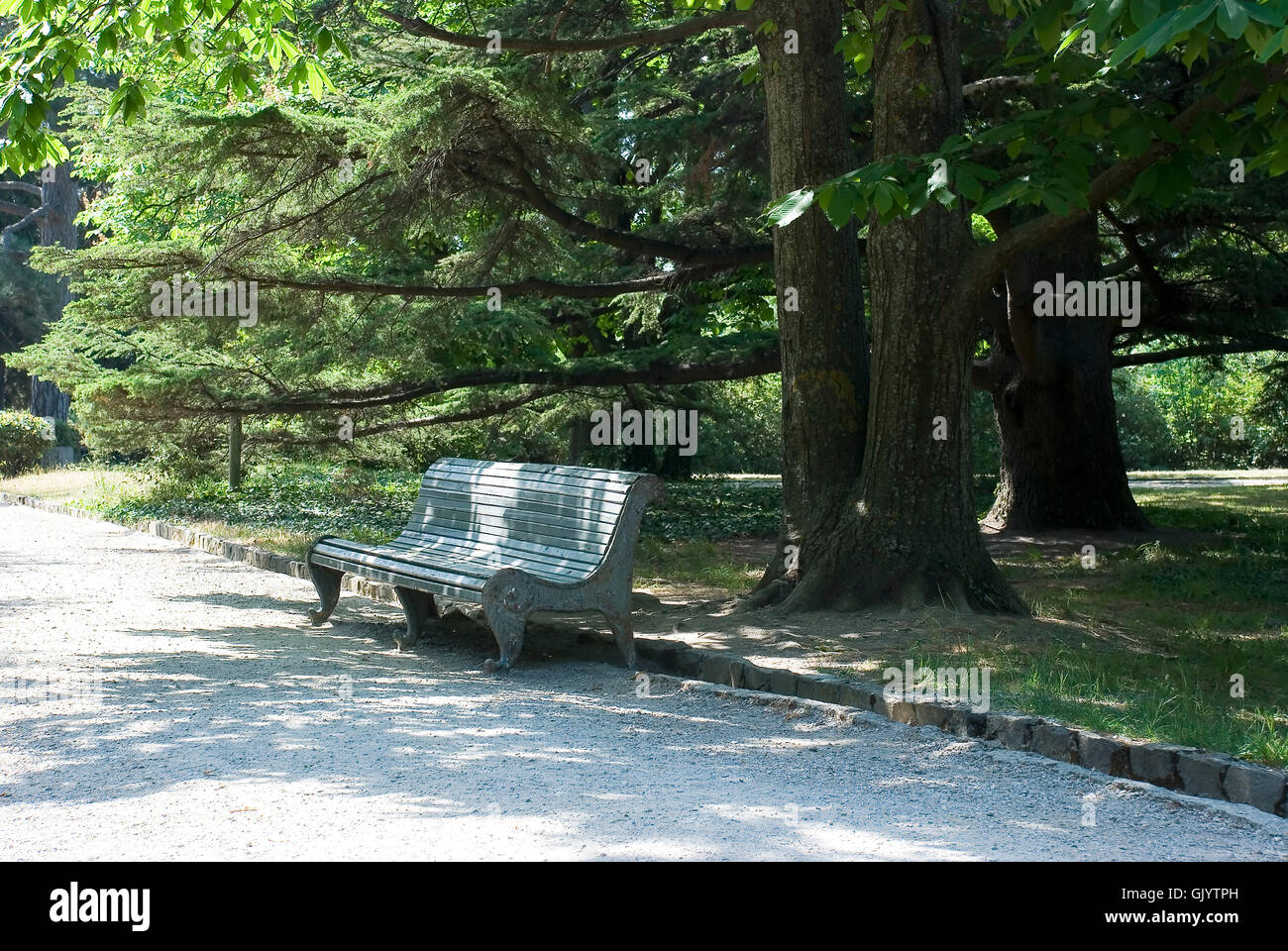 Serene park bench tranquil hi-res stock photography and images - Alamy