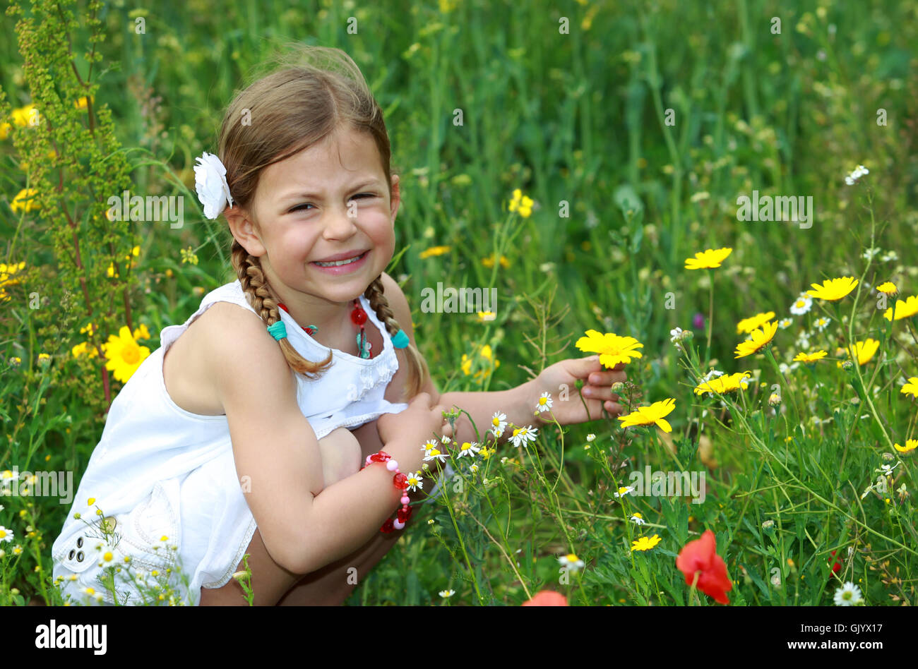 field daisy kid Stock Photo