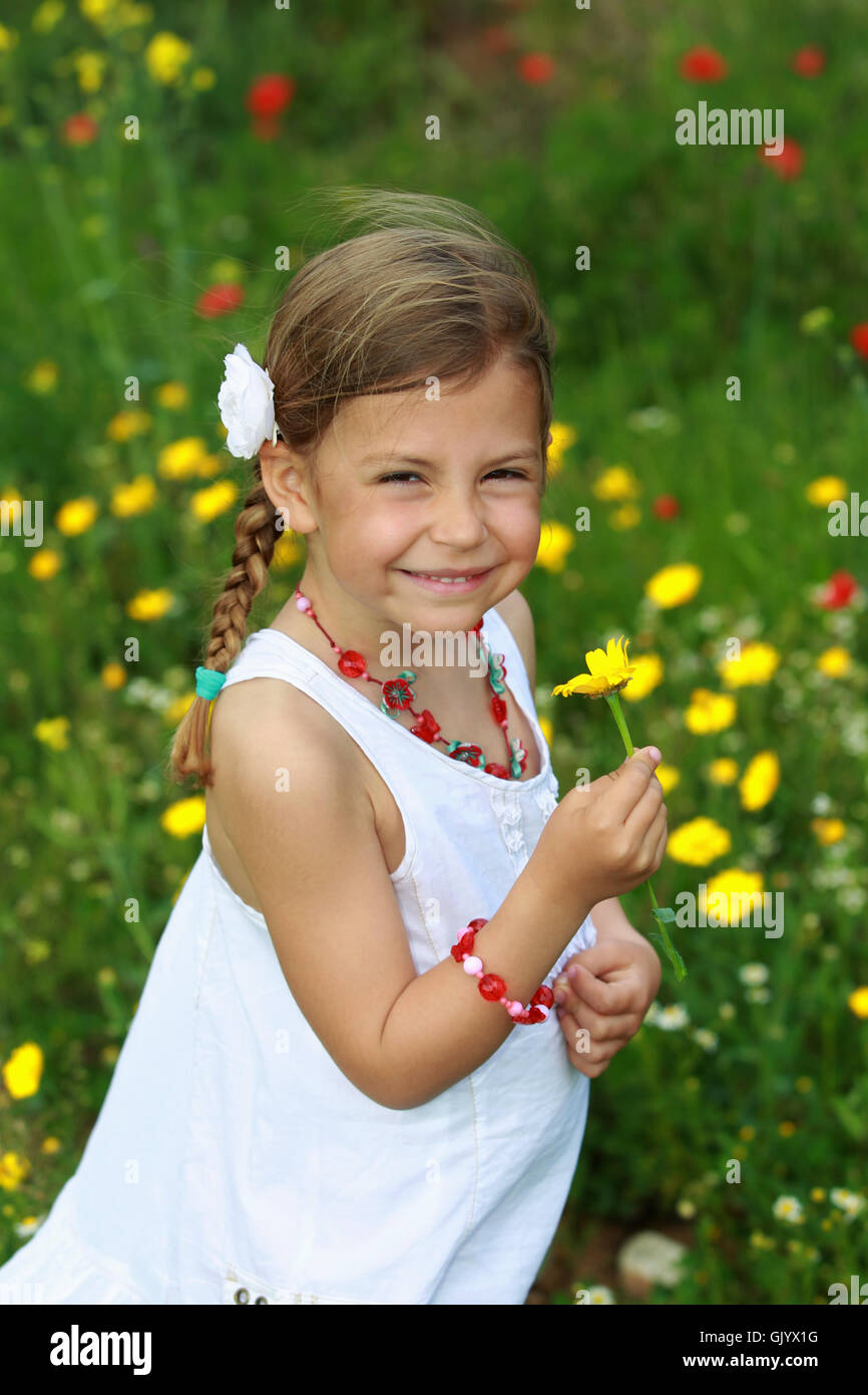 field daisy kid Stock Photo