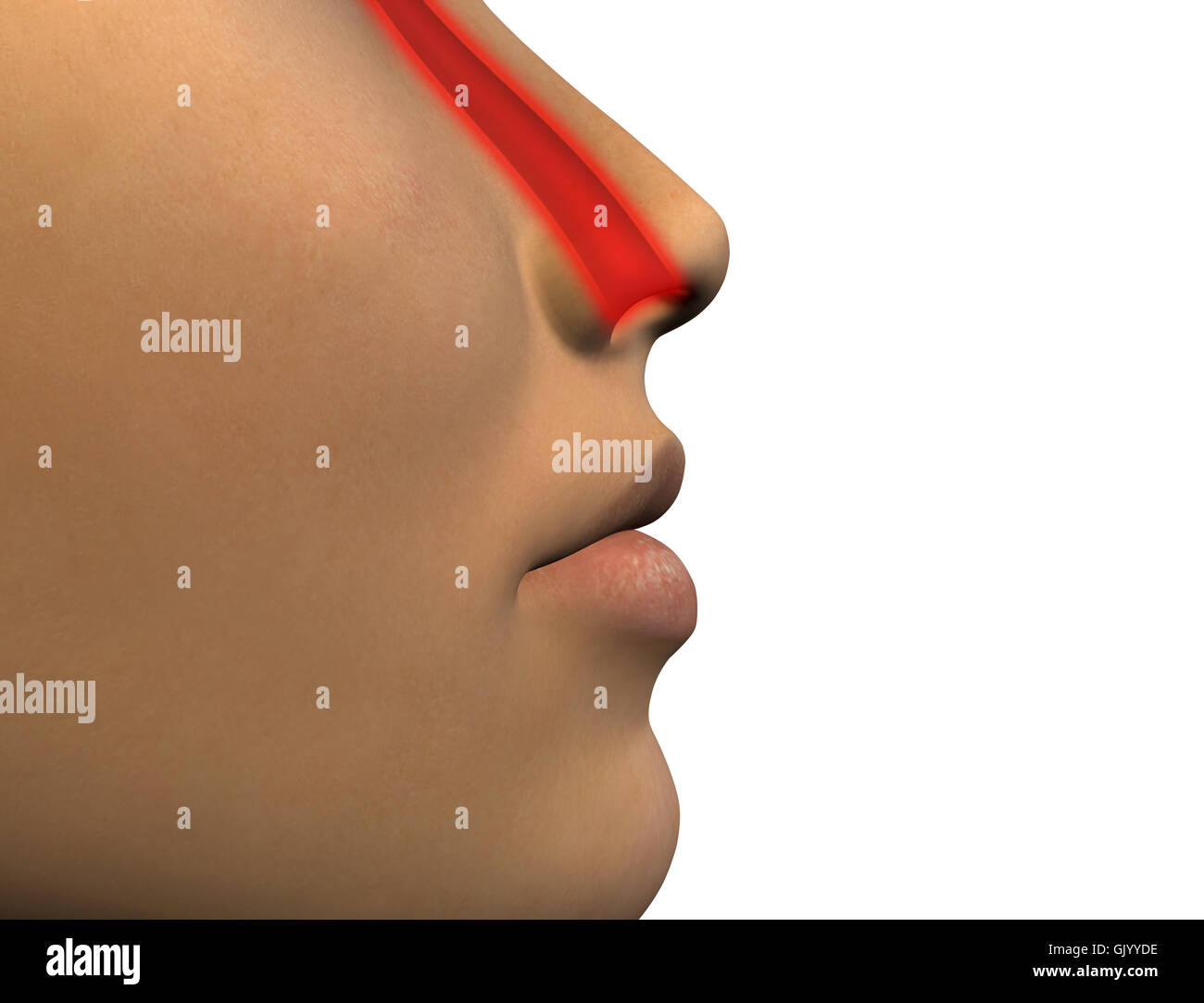 Human allergy hi-res stock photography and images - Alamy