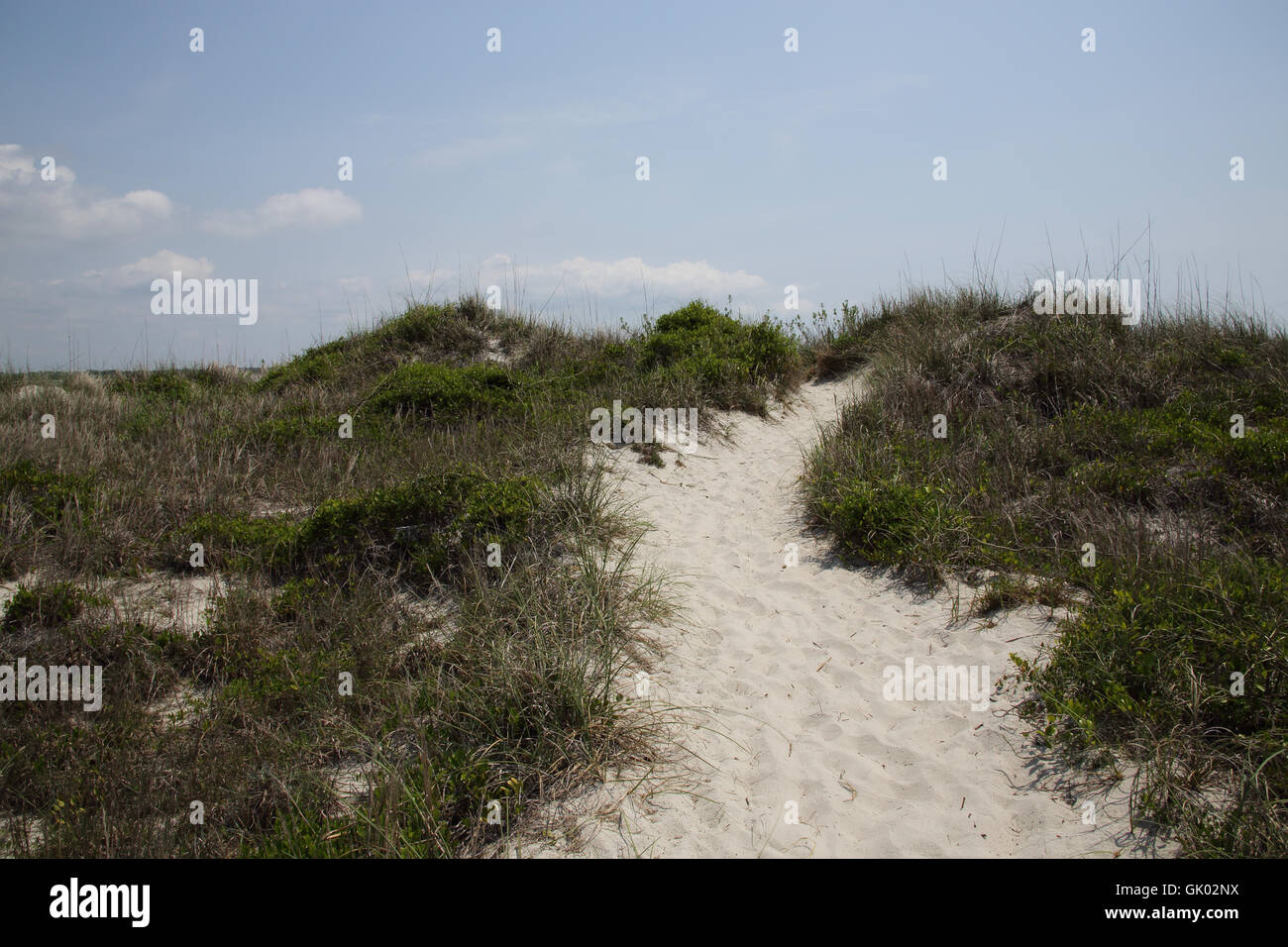 Pathway over sand dunes Stock Photo