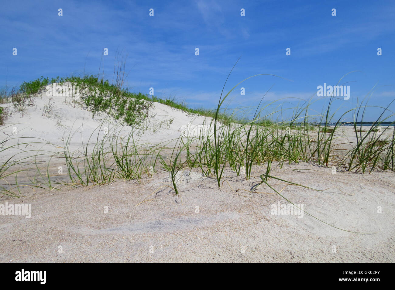Sand dunes with grass Stock Photo