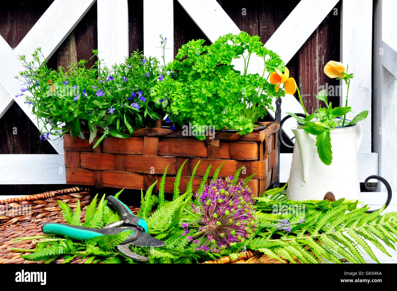herb garden bench Stock Photo Alamy