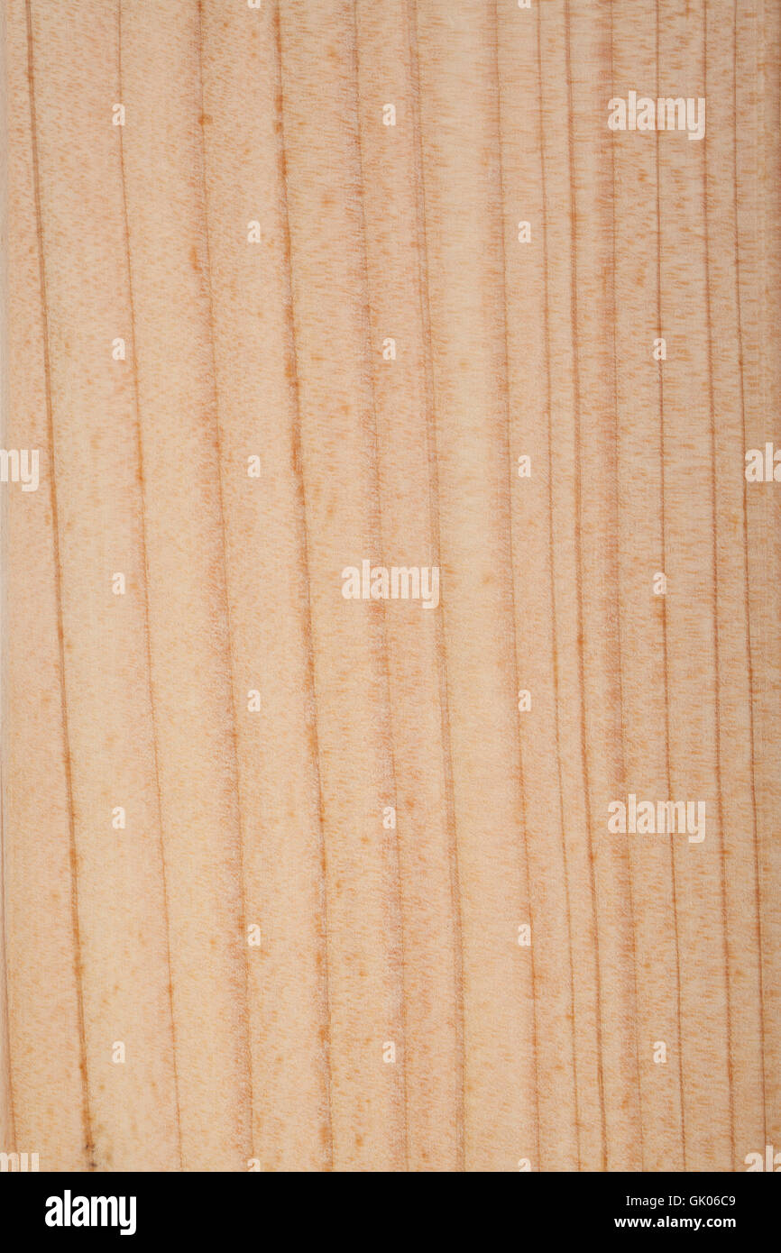 wood surface of larch larch wood Stock Photo Alamy