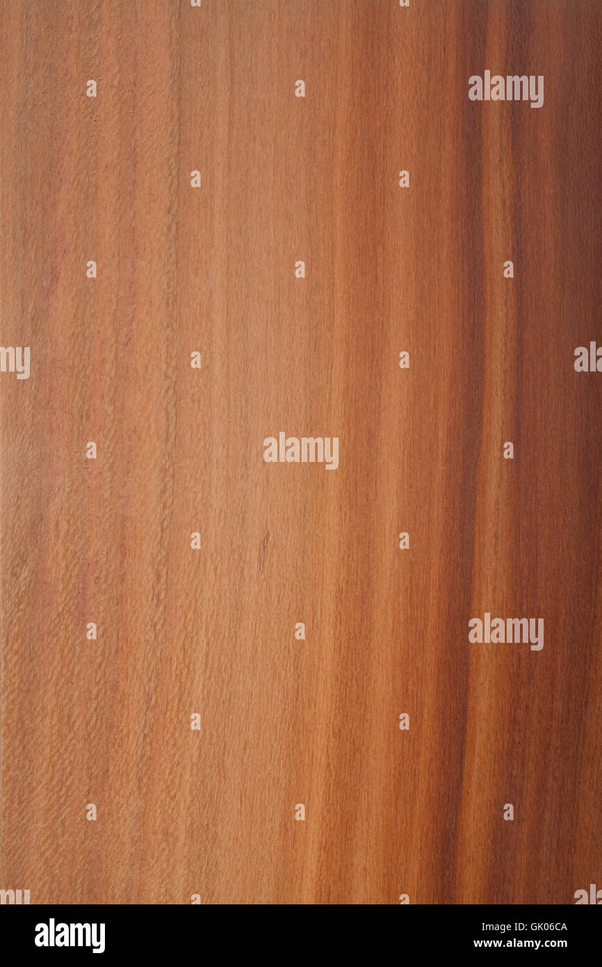 wood surface plum plum tree wood Stock Photo Alamy