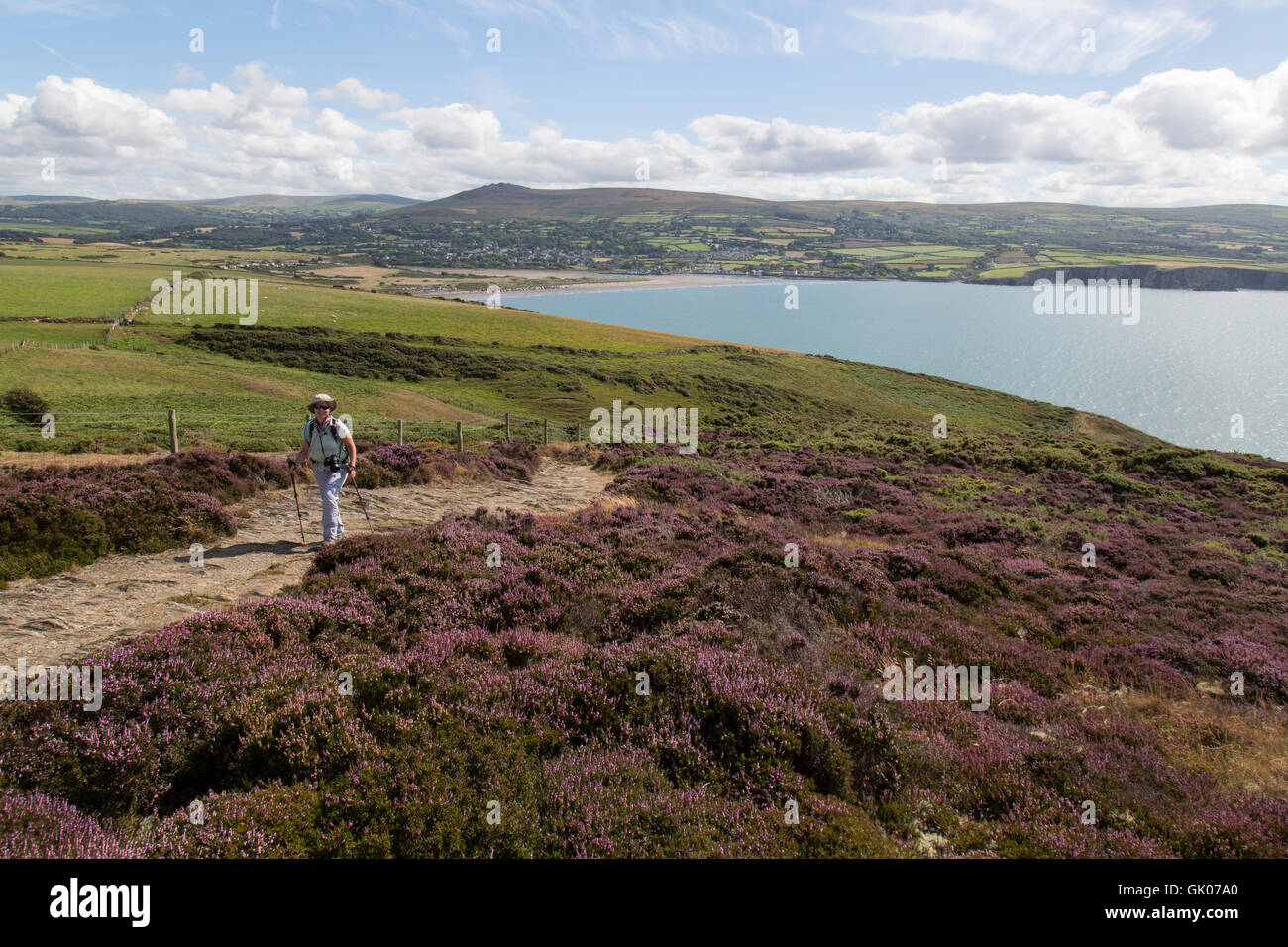 A lone female hiker on the Pembrokeshire Coastal Path in South West Wales, with Newport Sands in the background. Stock Photo