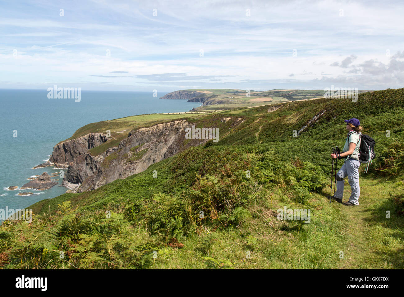 Part of the Pembrokeshire Coastal Path near Newport Sands, in South West Wales. The path is a designated national Trail. Stock Photo