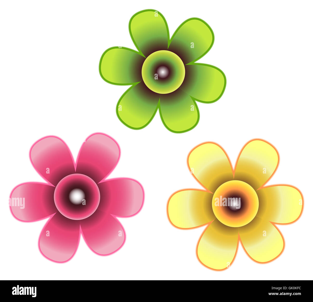 flower plant color Stock Photo Alamy