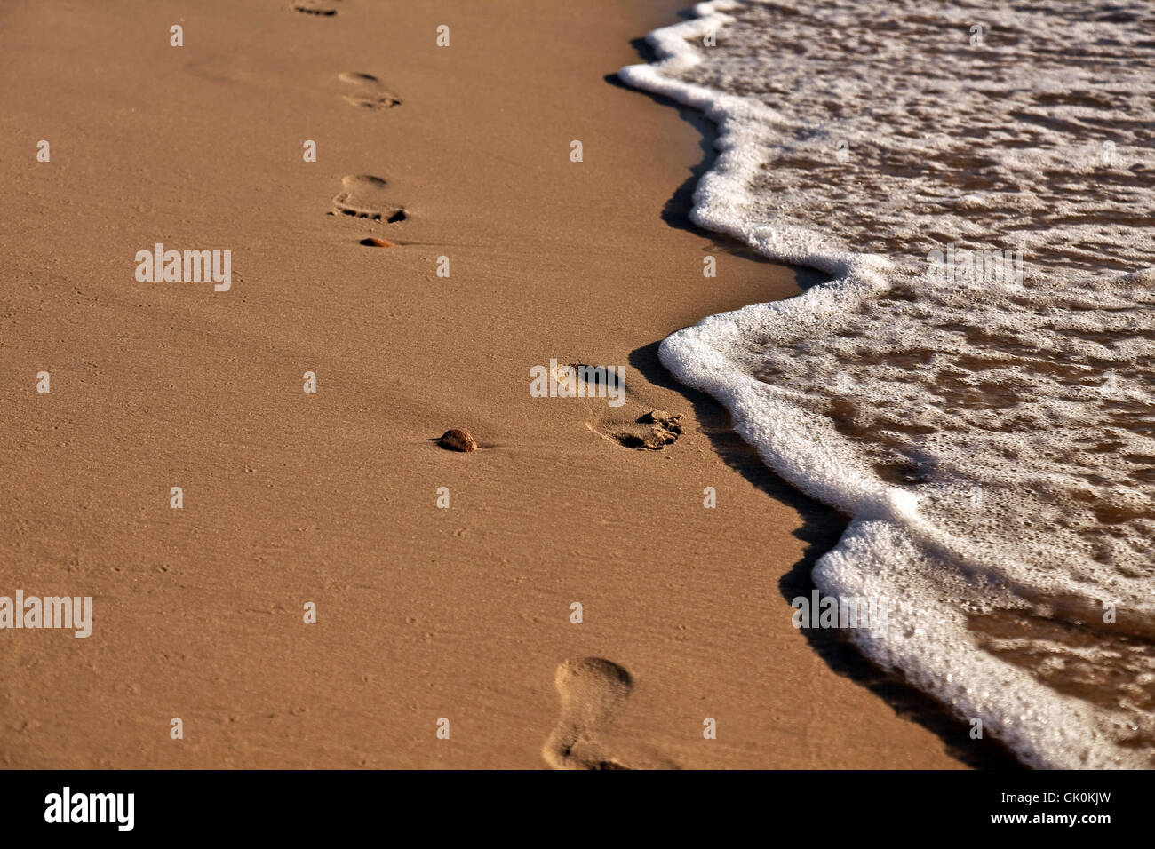 footprints in the sand . Stock Photo